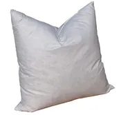 5/95 White Duck 16 X 16