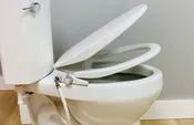 Bidet Seat. Elongated. NonElectric. Two-Way Spray (Free Shipping)