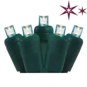 12L 5mm LED Bling String, 24in Bulb Spacing