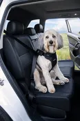 Seatbelt Harness, Crash Tested Dog Harness, Adjustable, With No-Pull D Ring
