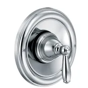 Brantford shower trim
