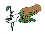 Anvil Pruners — OurTools.org