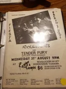 $10 PUNK FLYER - ADOLESCENTS