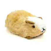 Alpaca Guinea Pig