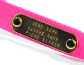 Solid Brass ID Nameplates