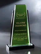 Palms — Mastercraft Awards