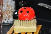 Ladybug Brush — Chandler's Kitchens