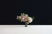 Ruysch Arrangement — I N C R E D I P A W S