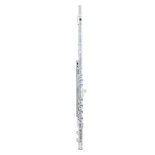 DiZhao DZ220COA Student Flute MONTHLY RENTAL — Doo Wop Shop