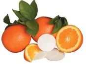 Citrus Circles Deodorizing Disks