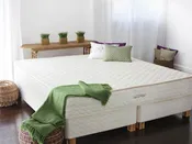 Savvy Rest Serenity Latex Mattress