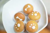 Organic Honey Pupcakes