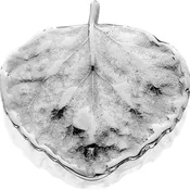 Aspen Leaf Pendant ~ Medium