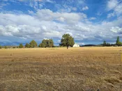 California Large Homesite Lot in Modoc County! Great 0.36 Acre Investment in California Pines Community! Low Monthly Payments!