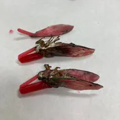 Casting from Nature Workshop | Swann | 10/24-25