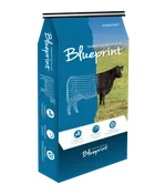 Blueprint Cattle Milk Replacer