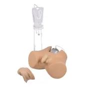 Erler Zimmer Henri & Florence Catheterization Trainers