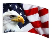 Bald Eagle Flag