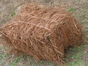 Pine Needle Mulch