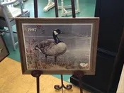 1987 Canadian Goose Picture