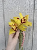 8.8 elopement — Bloom Brats Botanical