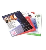 100lb Gloss Text Full Color Postcard Medium – 5×7”