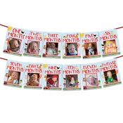 12 Month Barnyard 1st Birthday Photo Banner