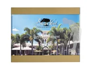 Acrylic Plaque with Frosted Acrylic Golfer – 3 Sizes