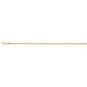 10K Anchoro Chain