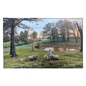 10078 - 20" X 31" Indoor Rug
