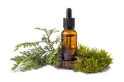 Cedarwood Soap