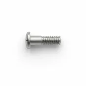2.5 x 1.4 x 5.2 Medium Interchangeable "Magic" Screws (Eyewire/Temple) #1516