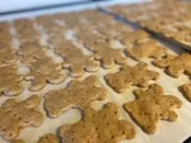 Fresh-Baked Honey Bears for Dogs — Spike's Treats