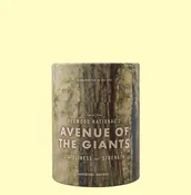 Avenue of Giants Candle by Ethics Supply Co. — Farm & Home