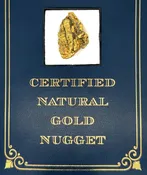 11.7 Gram Natural Gold Nugget from Hunter Creek, Alaska