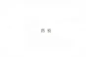 1/4 Carat Diamond Studs