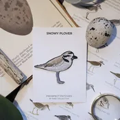 Bird Patches
