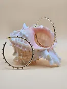 Delicate Studded Hoops — Salt Boutique (Copy)