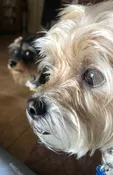 Contest - Chloe &amp;amp; Cam - Coletta
