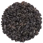 Black Oil Sunflower