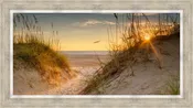 Coastal Dunes