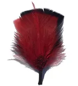 C Side Feather for Hats & Fedoras, FQH - FINAL SALE