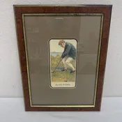 #15 "A Stymie" Framed Art