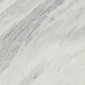 Brazilian White