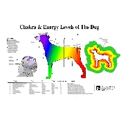 PetMassage Chart #7: Chakra & Energy Levels of the Dog