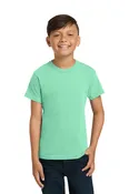 Comfort Colors Short Sleeve T-shirt - Youth