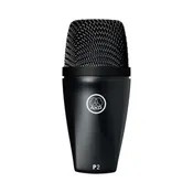 AKG P2 High-Performance Dynamic Bass Microphone