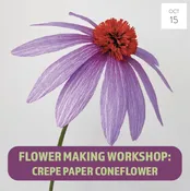 BEGINNERS CREPE PAPER CONEFLOWER MAKING WORKSHOP — PAPERCRAFT MIRACLES LLC
