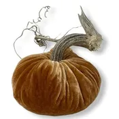 5" Spice Pumpkin
