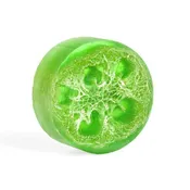Coconut Lime Exfoliating Loofa Bars